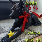 Santa I was a good girl