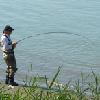 Fly Fisherman Pulling In A Salmon