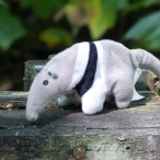 stuffed Anteater