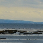 view from Boundary Bay